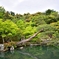 5月5日　嵐山３