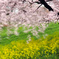 春の風