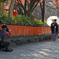 京都の街で