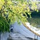 カブ散歩