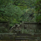 福昌寺　重豪墓入口