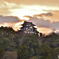 朝の彦根城
