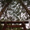 ひと気のない鳥居