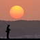 優しい夕日