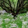 お花に囲まれて