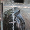 暑いので水を下サイ
