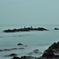 The winter beach where it rains