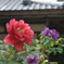 和と花
