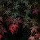 2017_0510_14r