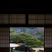 庭園