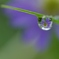 なみだ雨