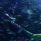 リアル人魚姫