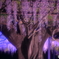 幻想