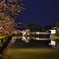城と桜とHDR
