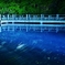 幻想的なもみじ池