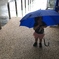 雨さんぽ