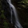 山形県鶴岡市羽黒町 羽黒山