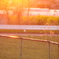 夕暮れ