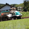 田植え
