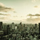 The new world