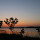 手賀沼夕景2