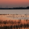 手賀沼夕景3