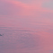 空と海の融合 1