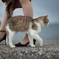 Cat walk