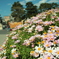 Marguerite