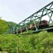 鉄橋を渡るトロッコ列車
