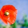 C360_2017-05-16-02-19-16-138