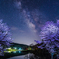 皐月の夜