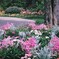 パステルカラーの花園で
