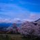 君と歩いた雲上殿･･･