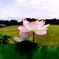 LOTUS／GF-1&LUMIX G FISHEYE 8mm / F3.5
