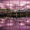 PURPLE REFLECTION