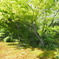 P5020369