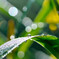 雨上がりに恋をして♪
