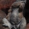 ワオキツネザル