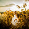PORTRAIT 1I6A8542