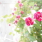 降る花