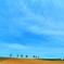 メルヘンの丘、初夏