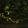 真夜中の舞踏会