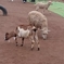 みんなでお食事