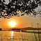 皐月・湖北夕景