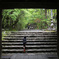 竹林寺山門