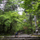竹林寺参道
