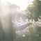 portrait# Y.