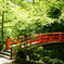 初夏の京都5