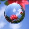 Look up